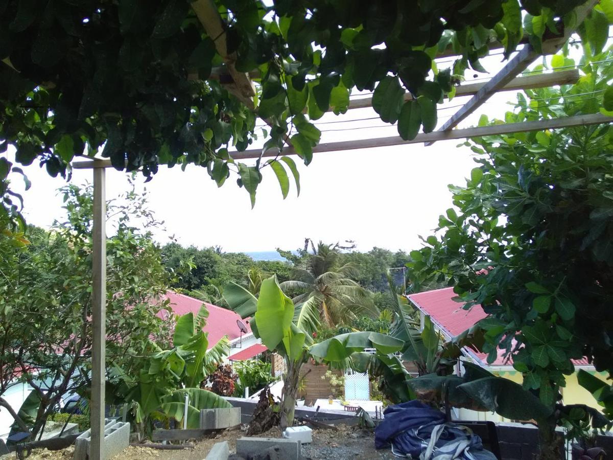 Maison Chaleureuse Avec Vue Sur Mer Διαμέρισμα Terre-De-Haut Εξωτερικό φωτογραφία